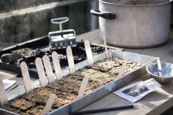 W.E.T. BY POT OLÉ ApS Anzuchtplatte mit Einzeltöpfen New