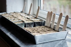 W.E.T. BY POT OLÉ ApS Anzuchtplatte mit Einzeltöpfen New