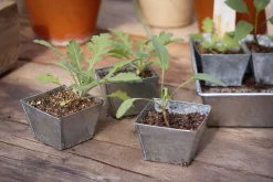 W.E.T. BY POT OLÉ ApS Anzuchtplatte mit Einzeltöpfen New