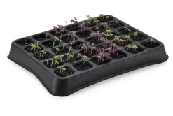 Fair Squared Anzuchtplatte Naturkautschuk New