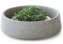 Denk Keramische Werkstätten Anzuchtschale für Microgreens Sale