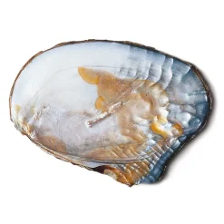 Ménard Armband Süßwasserperlen Hot