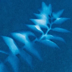 AstroMedia Cyanotypie-Papier Outlet