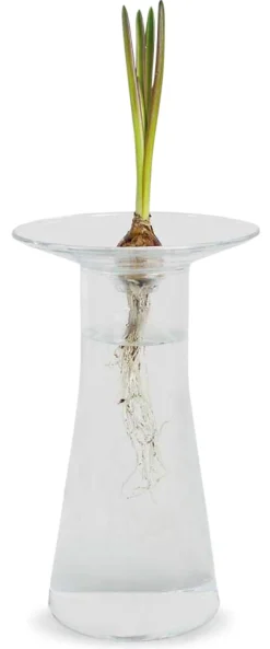 Aufsatz zu Vase Labor New