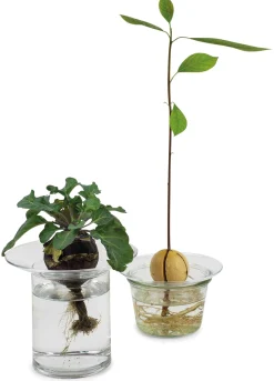 Aufsatz zu Vase Labor New