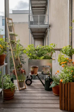 Herstera Garden Balkonhochbeet verzinkt rollbar Hot