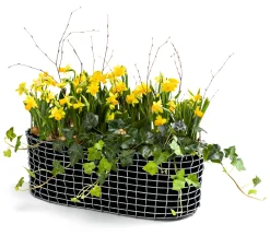 Korbo Balkonkasten New