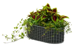 Korbo Balkonkasten New