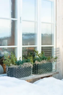 Korbo Balkonkasten New