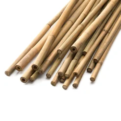 Hermann Meyer Bambusstäbe Best