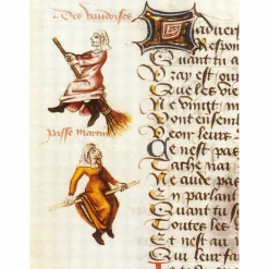 Sorex Import Export Besen Reisstroh Hot