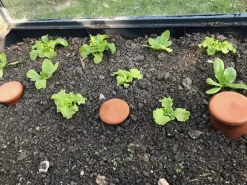 Karl Louis Lehmann Bewässerungstopf für Hochbeete Hot