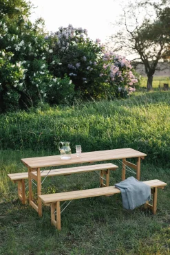 Elefant Möbel Biergartengarnitur Robinienholz