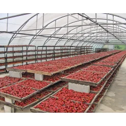 GP Pays Basque Bio-Piment d’Espelette Outlet