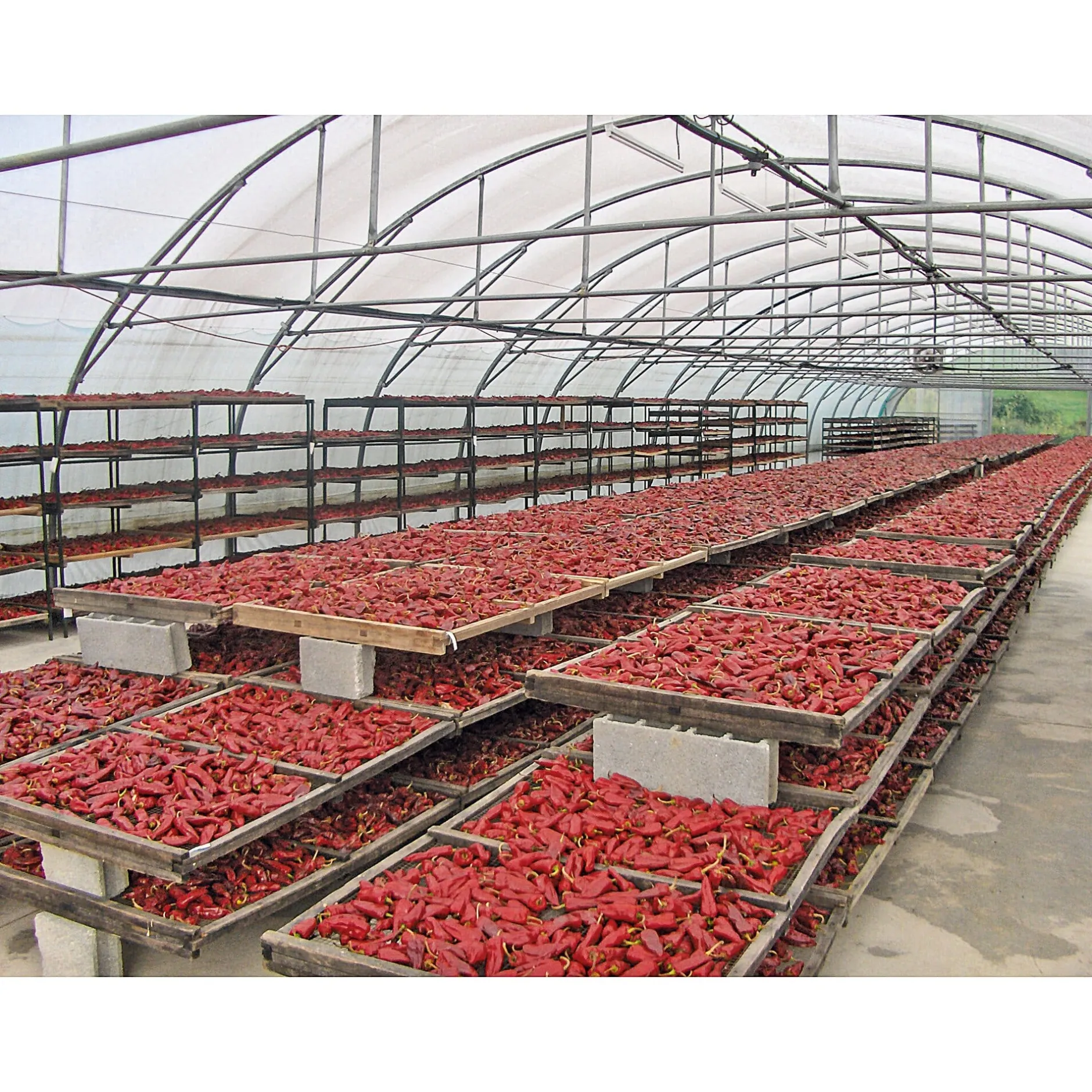 GP Pays Basque Bio-Piment d’Espelette Outlet