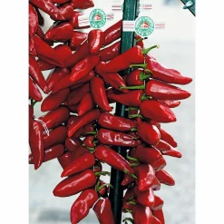 GP Pays Basque Bio-Piment d’Espelette Outlet