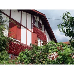 GP Pays Basque Bio-Piment d’Espelette Outlet