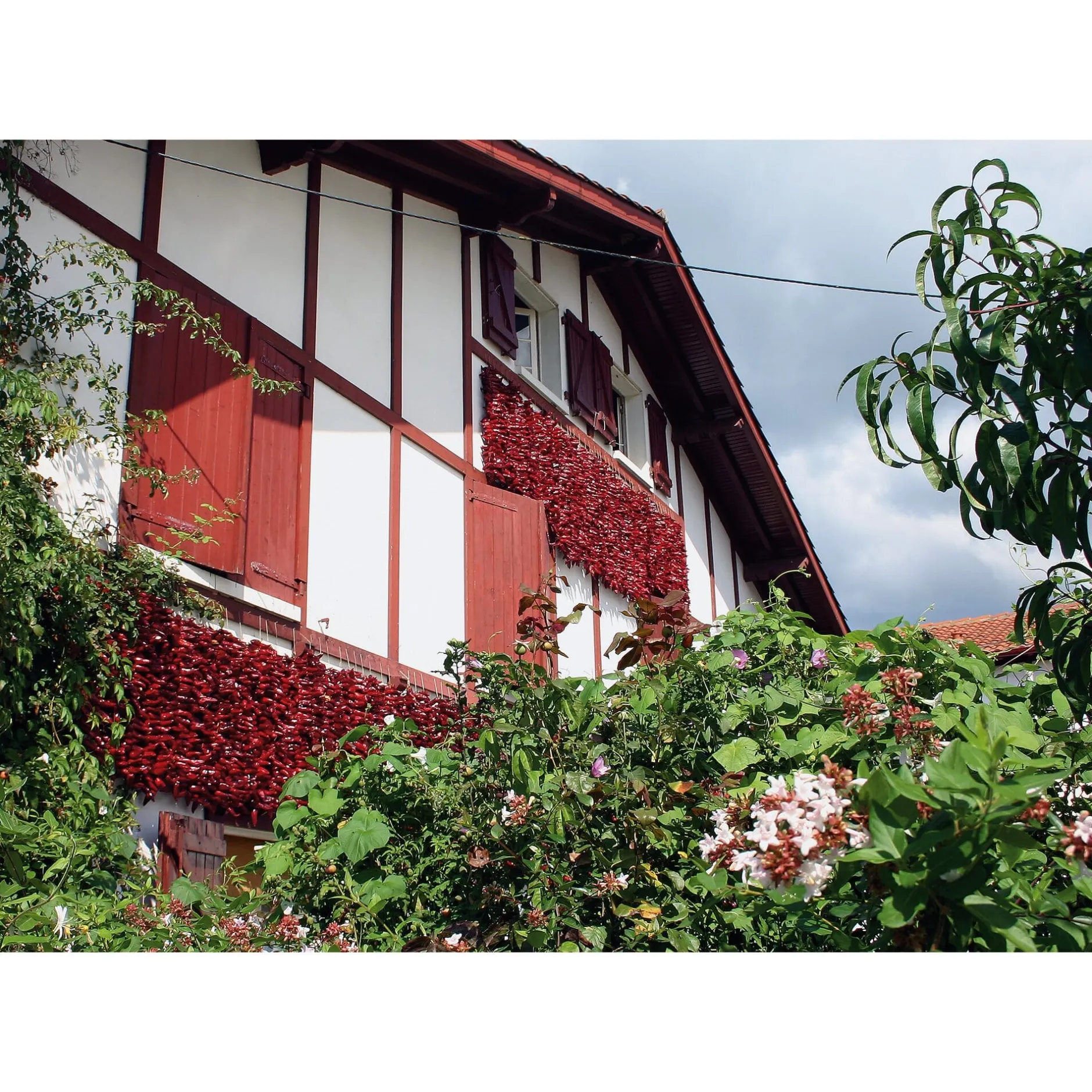 GP Pays Basque Bio-Piment d’Espelette Outlet