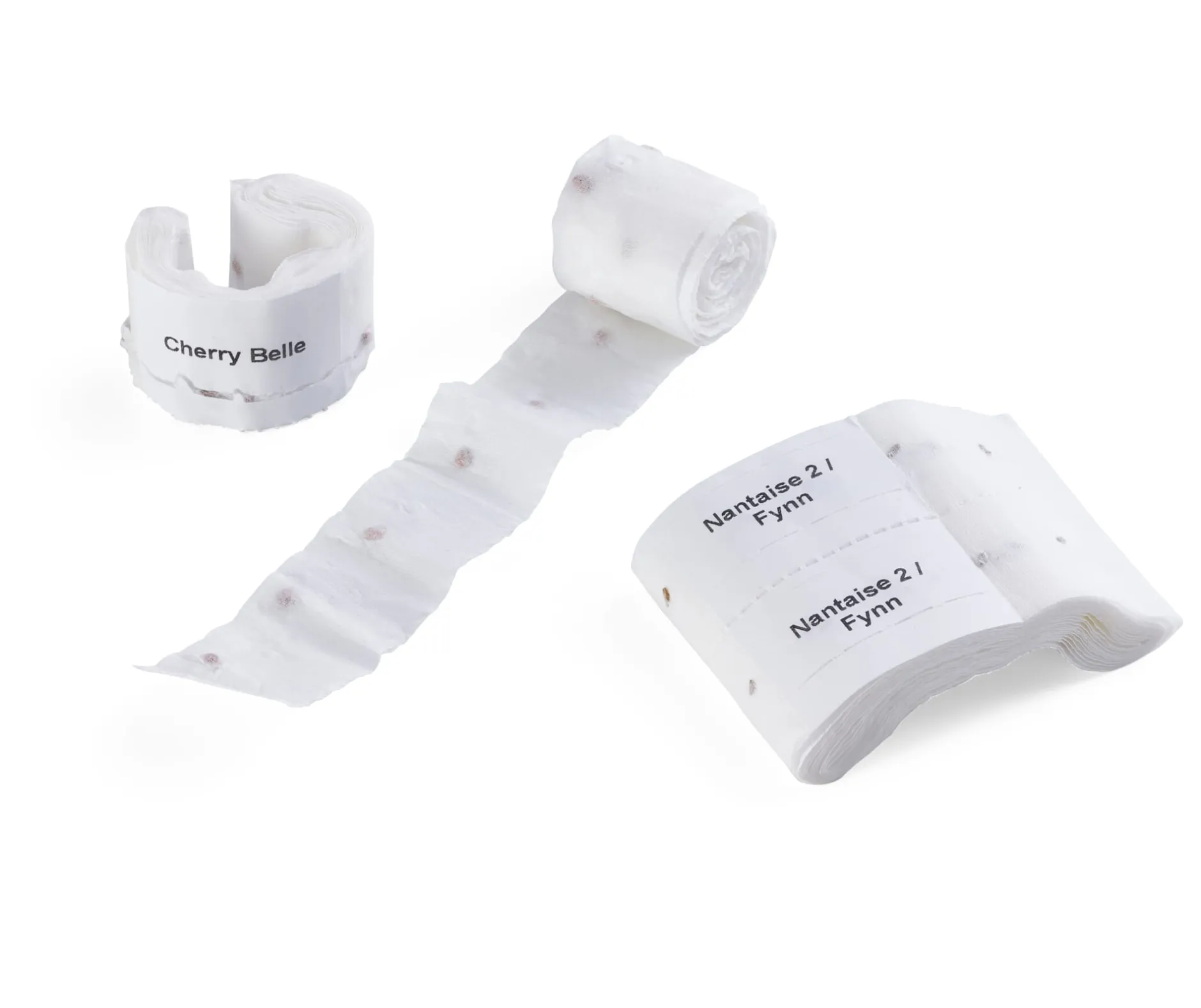 ARIES Umweltprodukte® Bio-Saatband Knabbergemüse Clearance