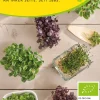 Samen-Fetzer Bio-Saatgut Microgreens Hot
