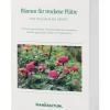 Manufactum Blumensamen für trockene heiße Plätze Discount