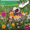 Samen-Fetzer Blumensamen Mössinger Balkonkastenmischung Online