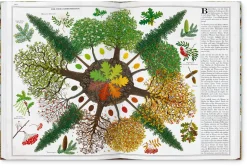 Gerstenberg Verlag Bäume Best