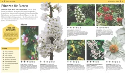 Dorling Kindersley Verlag Das Bienen Buch Hot