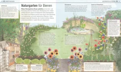 Dorling Kindersley Verlag Das Bienen Buch Hot