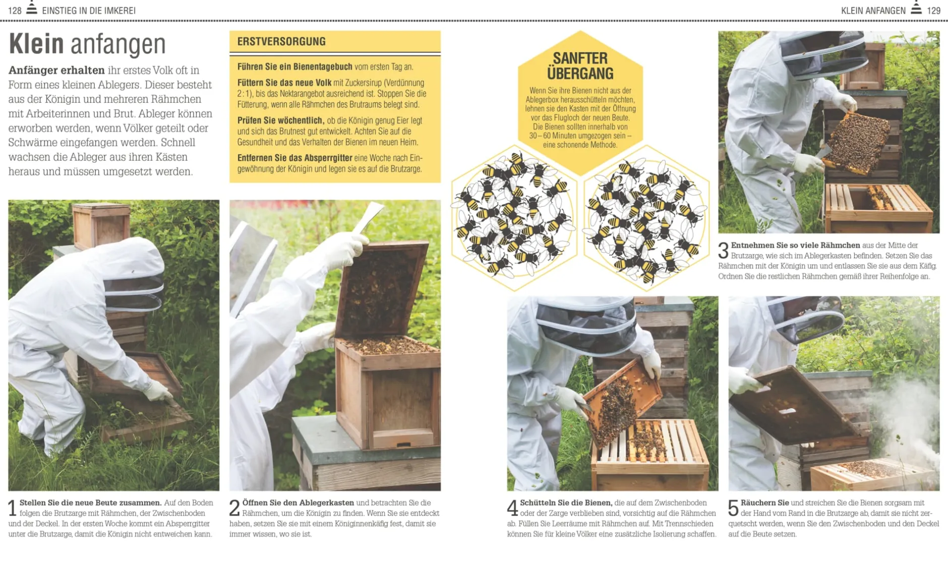 Dorling Kindersley Verlag Das Bienen Buch Hot