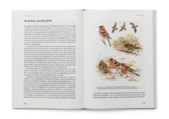 Pala-Verlag Das große Buch der Gartenvögel