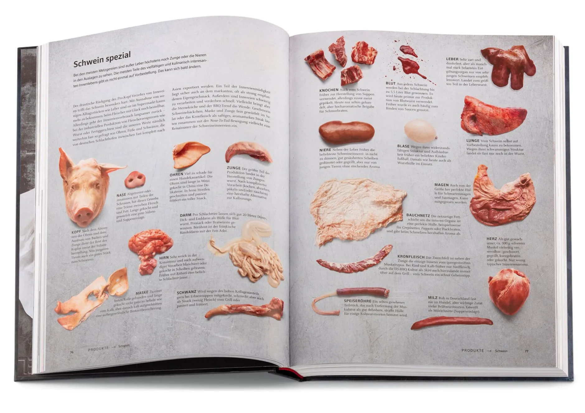 Gräfe und Unzer Verlag Das große Buch vom Fleisch Clearance