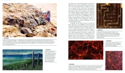 AT Verlag Das grosse Netz