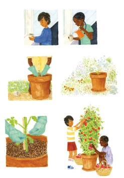 Insel Verlag Das Handbuch der vergessenen Fertigkeiten Clearance