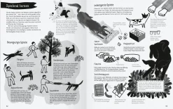 Gerstenberg Verlag Dein Hund und du Discount