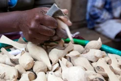 Mifuko Dekovogel Holz handgeschnitzt New