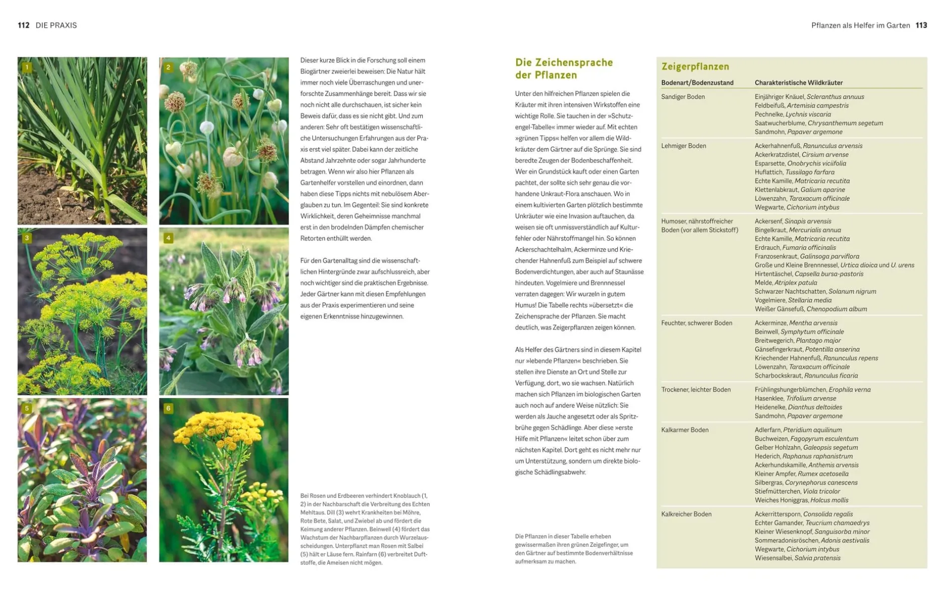 Gräfe und Unzer Verlag Der Biogarten - Das Original Outlet