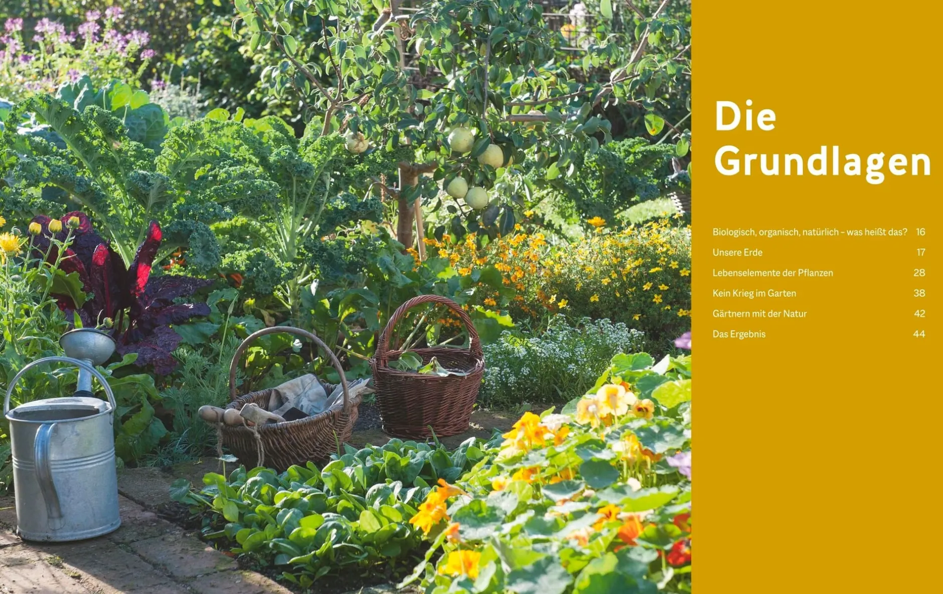 Gräfe und Unzer Verlag Der Biogarten - Das Original Outlet