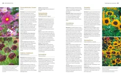 Gräfe und Unzer Verlag Der Biogarten - Das Original Outlet