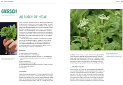 Ulmer Verlag Der Giersch muss weg! Clearance