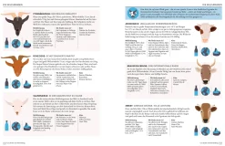 Dorling Kindersley Verlag Der Käse-Atlas