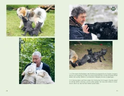 Christian Brandstätter Verlag Der Wolf und wir Outlet