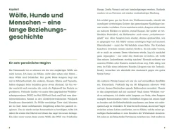 Christian Brandstätter Verlag Der Wolf und wir Outlet