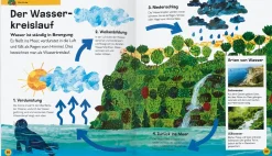 Gerstenberg Verlag Die kleine Raupe Nimmersatt Online