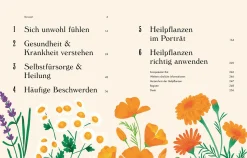 Dorling Kindersley Verlag Die pflanzliche Hausapotheke Clearance