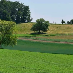 AT Verlag Die Walnuss Outlet