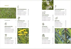 Ulmer Verlag Die wilden Neun Sale