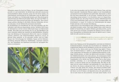 Ulmer Verlag Die wilden Neun Sale