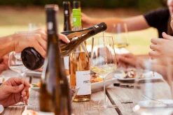 Weingut Winter Dittelsheim Chardonnay Discount