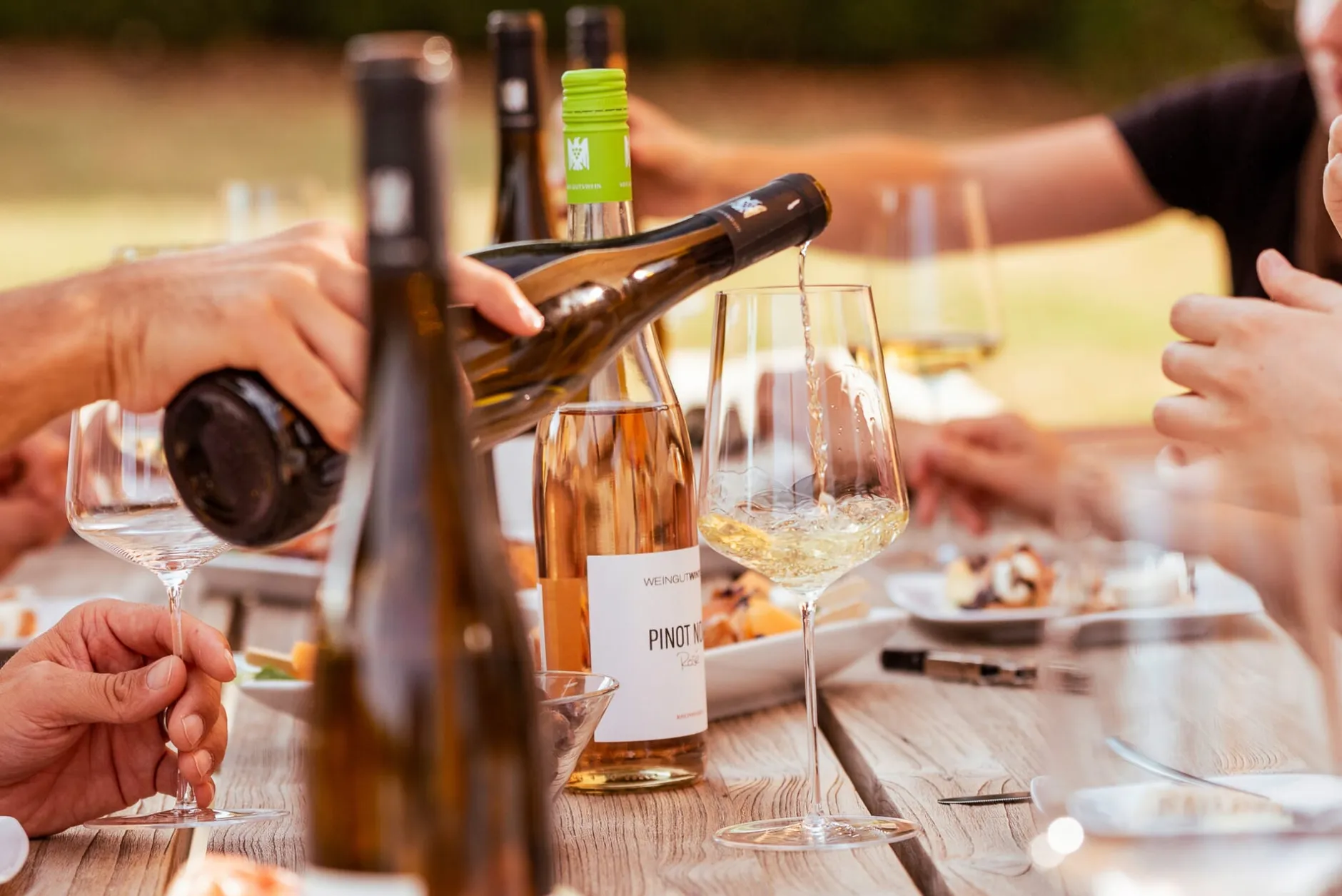 Weingut Winter Dittelsheim Chardonnay Discount